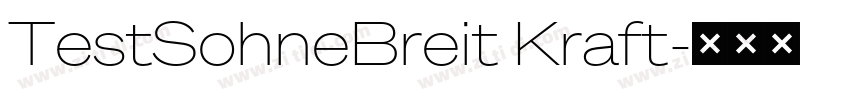 TestSohneBreit Kraft字体转换